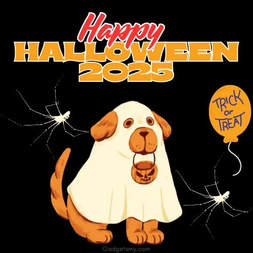 How to Celebrate Happy Halloween 2025