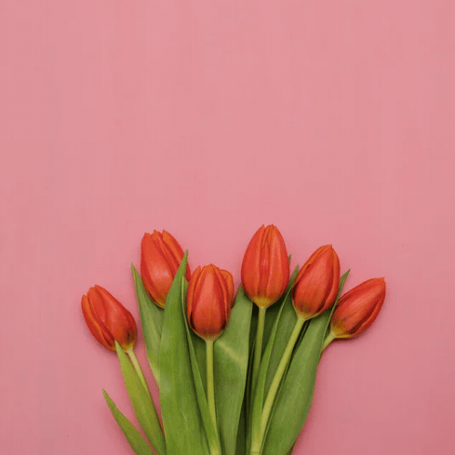 Mothers Day 2026 Gif Images