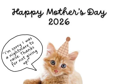 Mothers Day 2026 Memes From Son