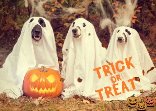 Happy Halloween 2026 Happy Halloween 2026